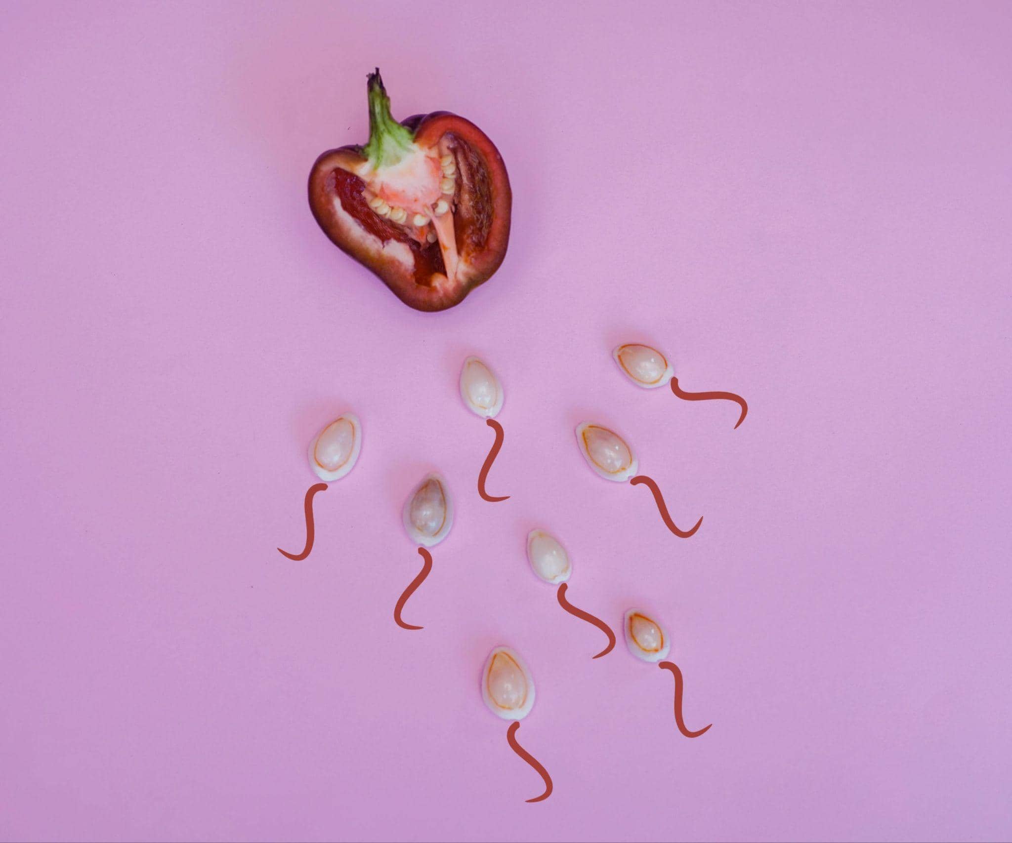 Illustration sur la fertilité masculine et l’impact du porno